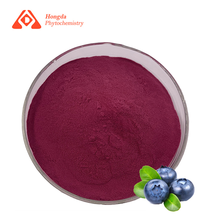 Blueberry Extract Powder